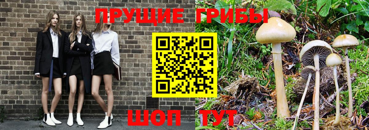 Мытищи  Псилоцибиновые грибы MAGIC MUSHROOMS  Вход с VPN 